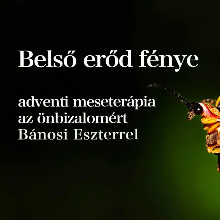 Belső erőd fénye
