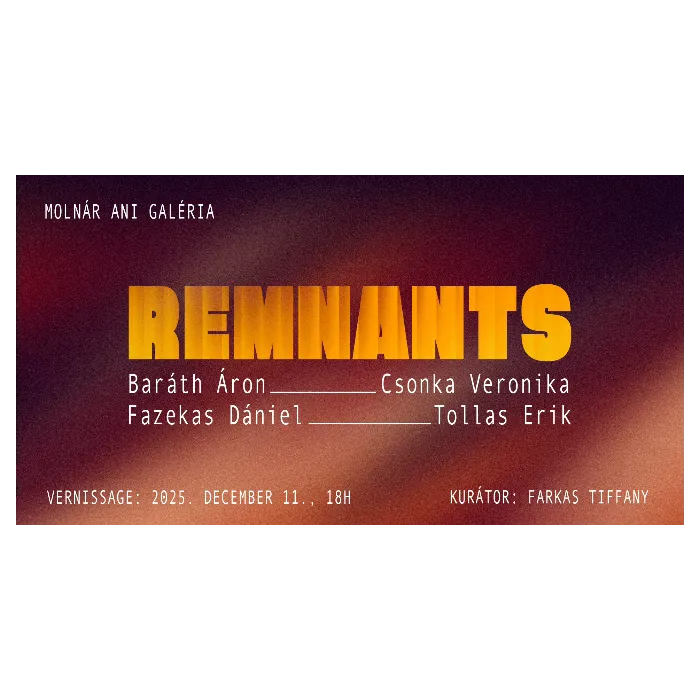 Remnants kiállítás a Molnár Ani Galériában