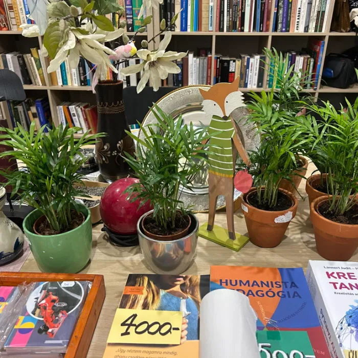 Karácsonyi jótékonysági vásár a SZIA Adományboltban és a SZIA teremben!