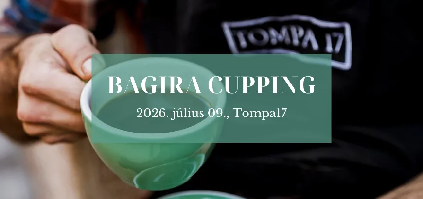 tompa17bagirajul-17828248257161.webp