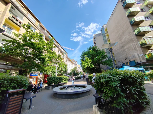 The Buda walking street, the pub life of Lövőház street