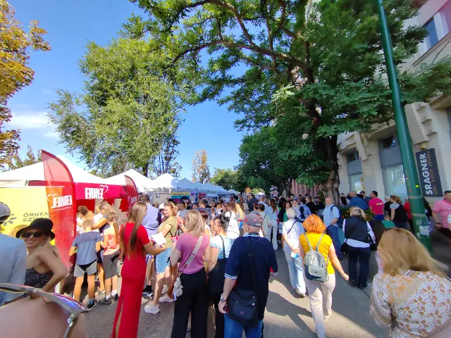 Pozsonyi Piknik 2025 - beszámoló