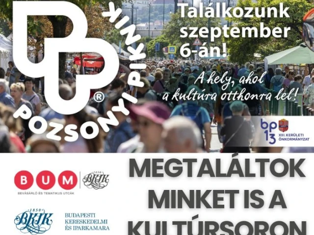 Pozsonyi Piknik 2025