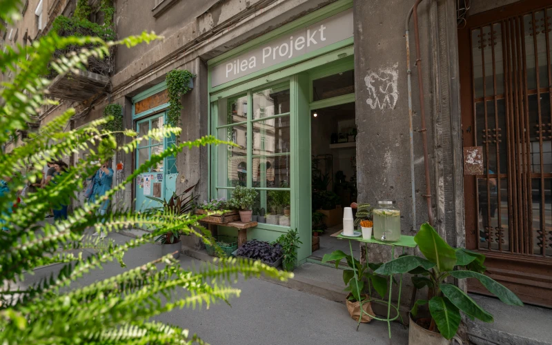 DSC_2982_20240525314099-50