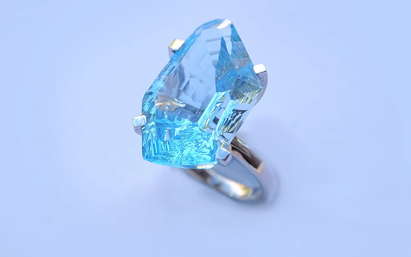 _DSCF4402bbb JAV NET (3)