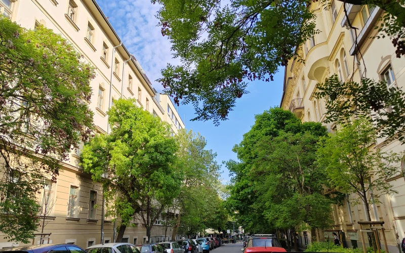 IMG_20250425_170530_1