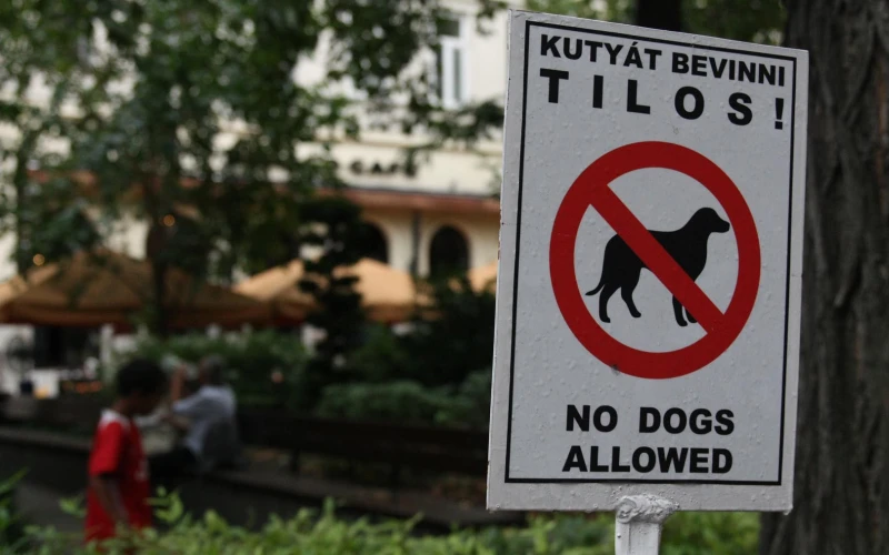 Liszt Ferenc tér - 7