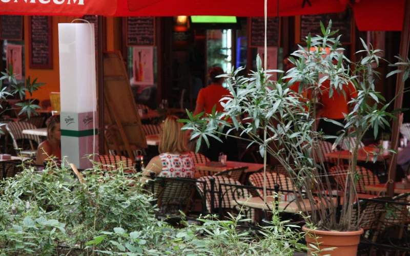 Cafe Vian French Bistro - Liszt Ferenc tér 10. - 3