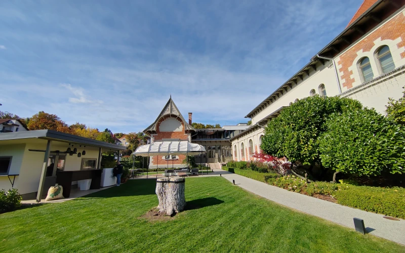 IMG_20251011_140812_1