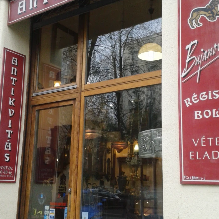 Bujanovics Antique Shop
