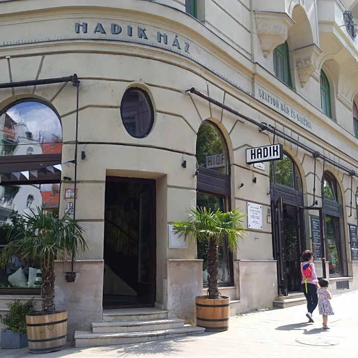 Hadik Cafe House - Szatyor Bar and Gallery