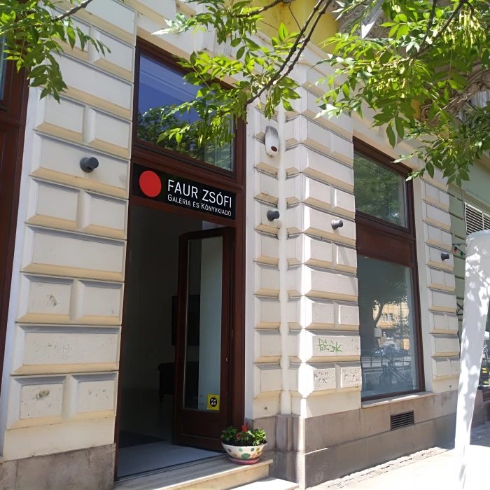 Faur Zsófi Gallery
